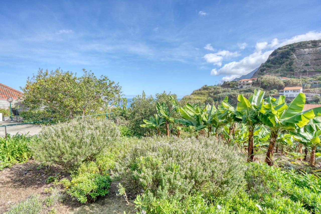 Quinta Da Vila Porto Da Cruz Dış mekan fotoğraf