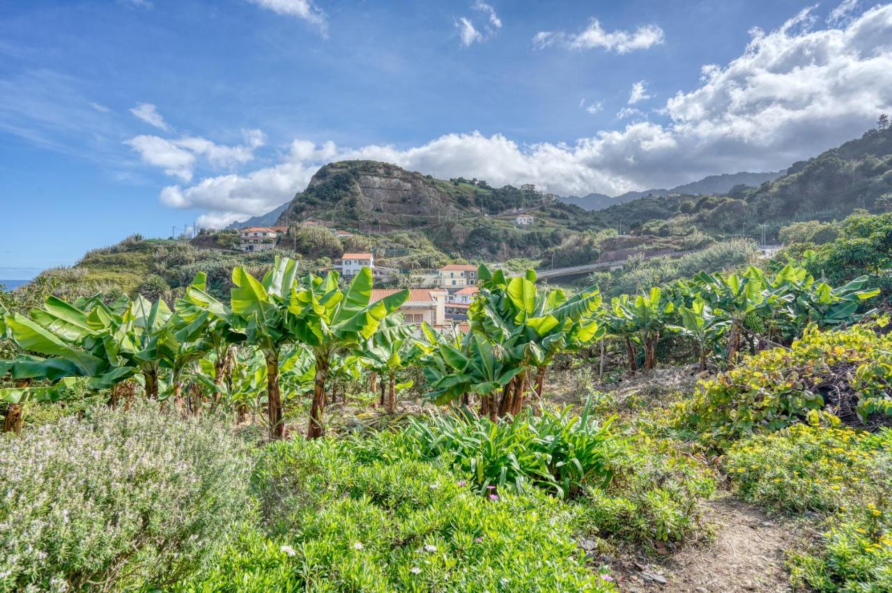 Quinta Da Vila Porto Da Cruz Dış mekan fotoğraf