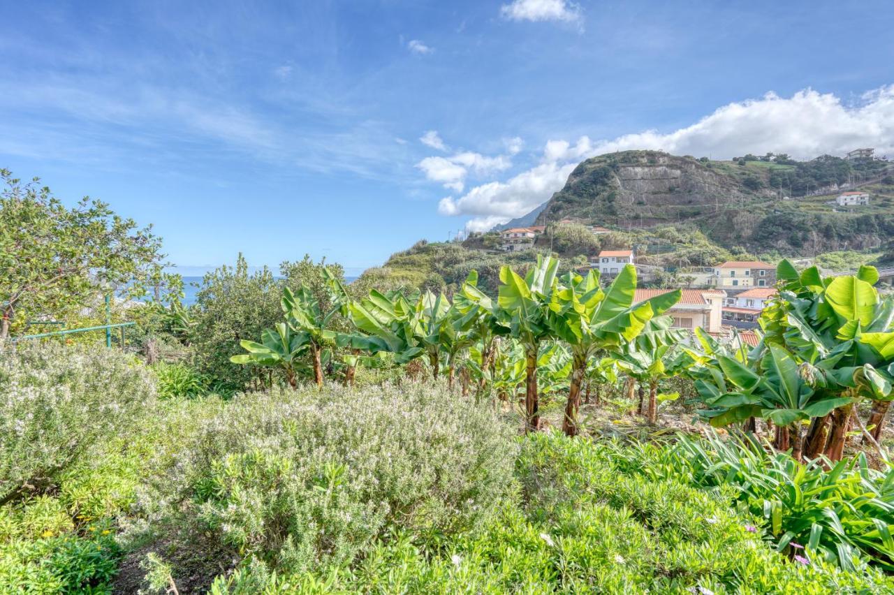 Quinta Da Vila Porto Da Cruz Dış mekan fotoğraf